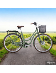 Monark E-Karin 7-vxl 51 cm Heritage green 2