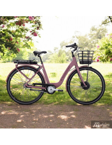 Crescent Elina 7-vxl 51 cm Bordeaux