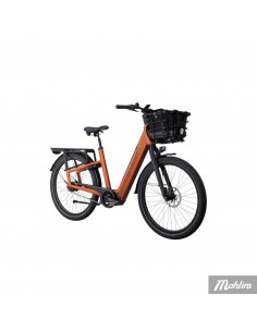 Crescent Elmer 20 5-vxl 50 cm Orange