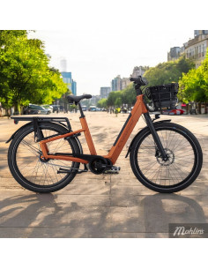 Crescent Elmer 20 5-vxl 50 cm Orange 2