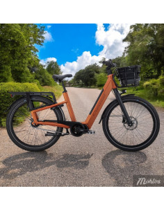 Crescent Elmer 20 5-vxl 47 cm Orange 2