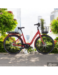 Crescent Elora 7-vxl 51 cm Röd 2