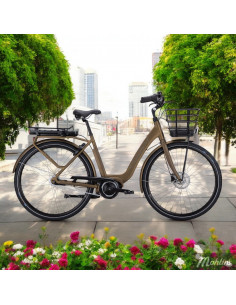 Crescent Elora 7-vxl 51 cm Brun 2