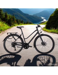 Crescent Holma Cityhybrid 18-vxl 55 cm Svart matt...