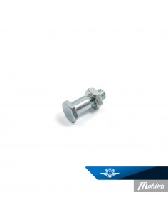 Bult för sidostöd Made by NTS för Honda MT50