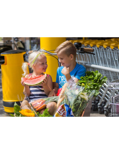 Bakfiets Cargobike Classic Lång