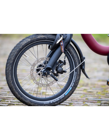 Van Raam Easy Rider Compact tricycle