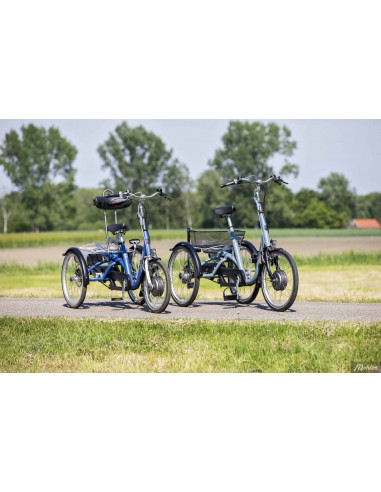 Van Raam Midi Tricycle base