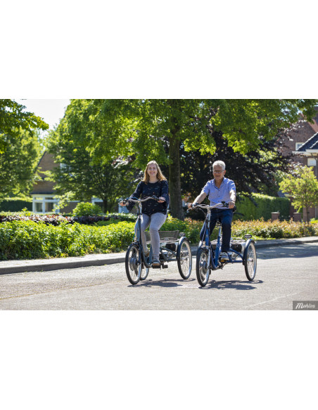 Van Raam Midi Tricycle base