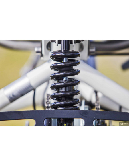 Van Raam Easy Sport recumbent tricycle