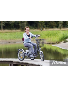 Van Raam Easy Go scooter bicycle 2