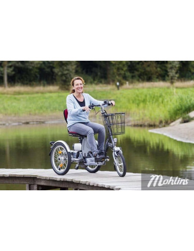 Van Raam Easy Go scooter bicycle