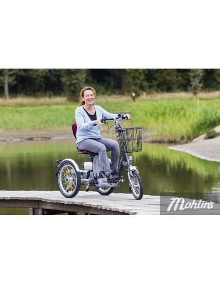 Van Raam Easy Go scooter bicycle