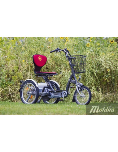 Van Raam Easy Go scooter bicycle