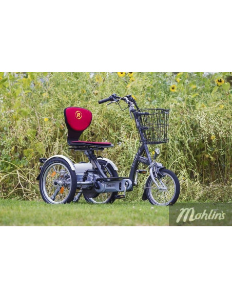 Van Raam Easy Go scooter bicycle