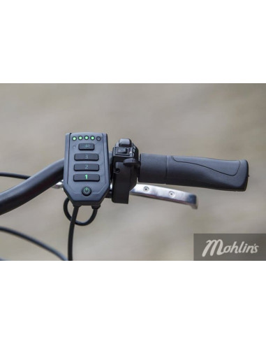 Van Raam Easy Go scooter bicycle