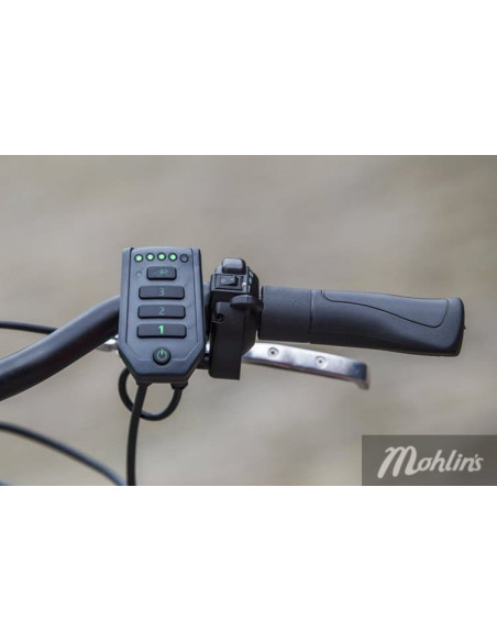 Van Raam Easy Go scooter bicycle