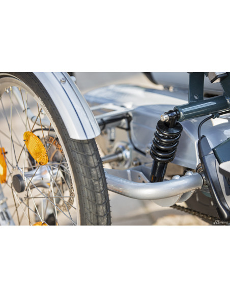 Van Raam Easy Go scooter bicycle