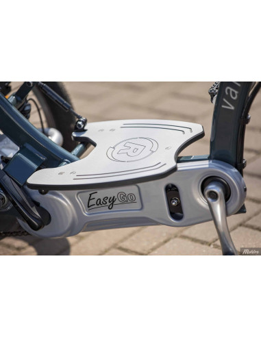 Van Raam Easy Go scooter bicycle