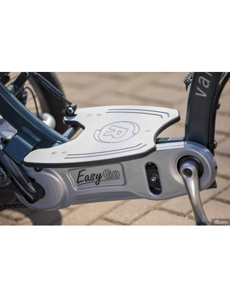 Van Raam Easy Go scooter bicycle
