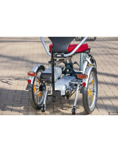 Van Raam Easy Go scooter bicycle