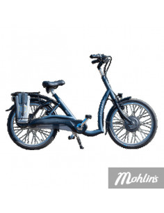 Van Raam Balance low step through bicycle