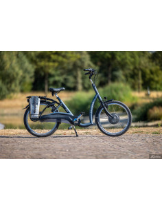 Van Raam Balance low step through bicycle 2