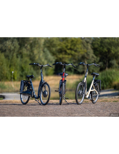 Van Raam Balance low step through bicycle