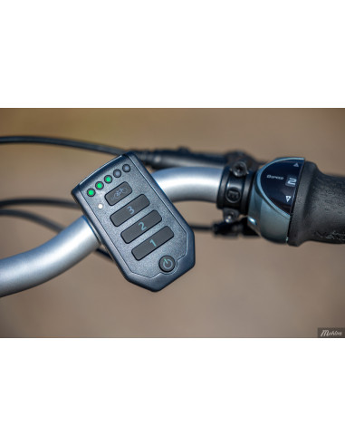 Van Raam Balance low step through bicycle