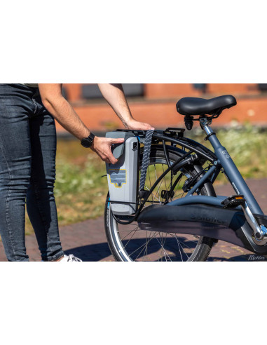 Van Raam Balance low step through bicycle