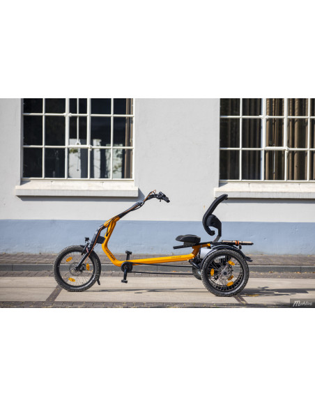 Van Raam Easy Rider tricycle