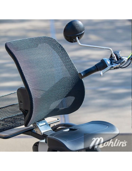 Van Raam Easy Rider tricycle