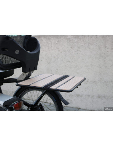 Van Raam Easy Rider tricycle