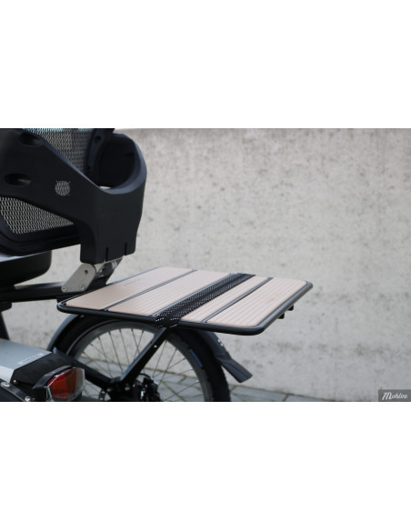 Van Raam Easy Rider tricycle