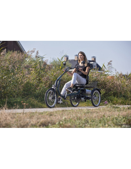 Van Raam Easy Rider tricycle