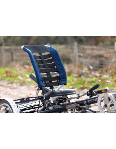 Van Raam Easy Sport small recumbent tricycle