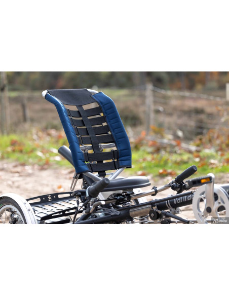 Van Raam Easy Sport small recumbent tricycle