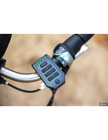 Van Raam Easy Sport small recumbent tricycle