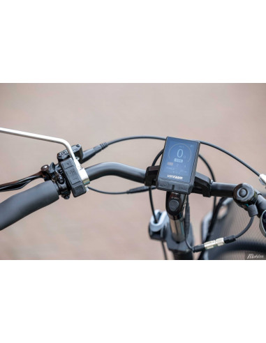 Van Raam Fun2go duo bicycle