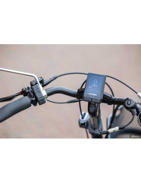 Van Raam Fun2go duo bicycle