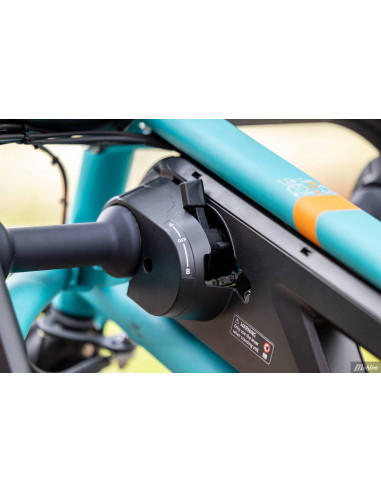 Van Raam Fun2go duo bicycle