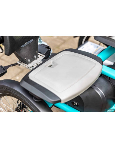 Van Raam Fun2go duo bicycle