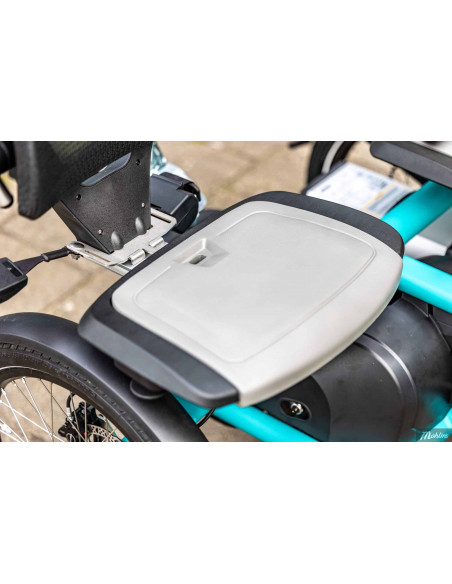 Van Raam Fun2go duo bicycle