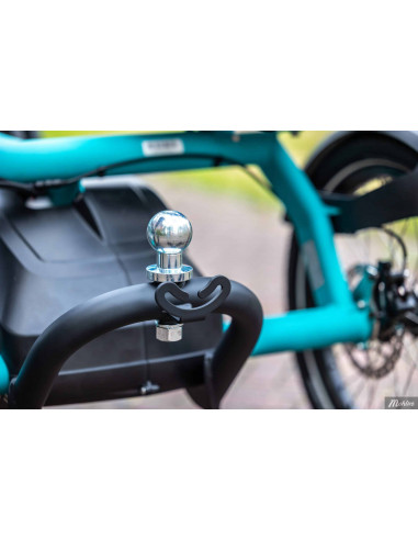 Van Raam Fun2go duo bicycle