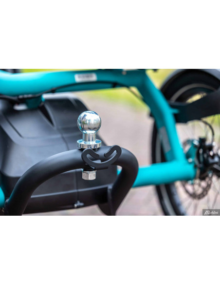 Van Raam Fun2go duo bicycle