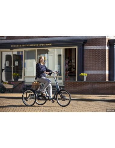 Van Raam Maxi Tricycle Base