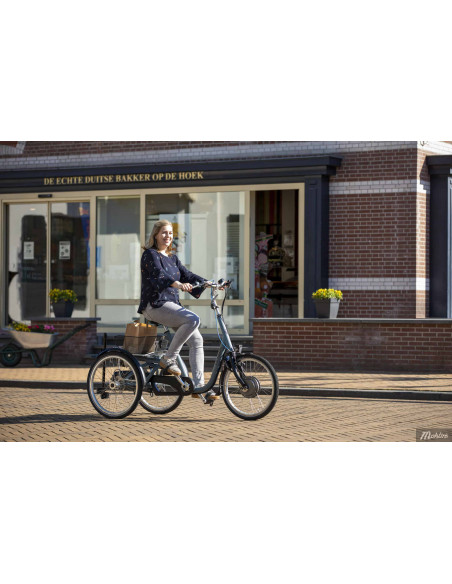 Van Raam Maxi Tricycle Base