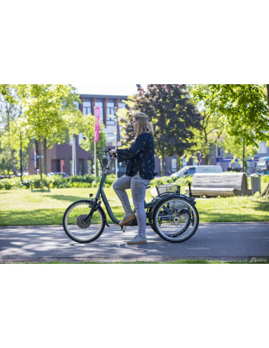 Van Raam Maxi Tricycle Base