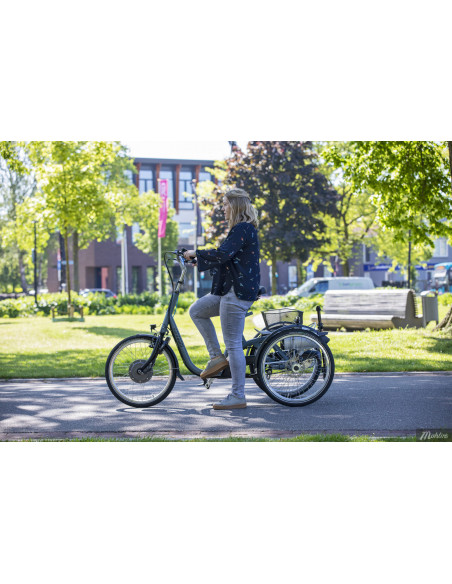 Van Raam Maxi Tricycle Base