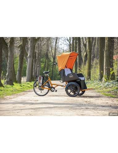 Van Raam Chat rickshaw bicycle